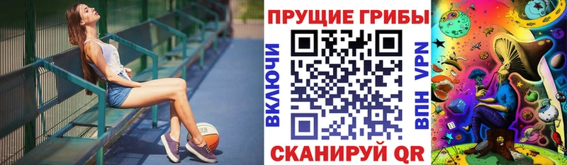 OMG ТОР  Осташков  Галлюциногенные грибы Cubensis 